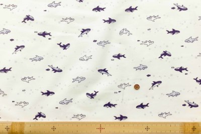 �J���[�o���G�[�V����