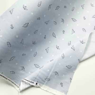 �J���[�o���G�[�V����