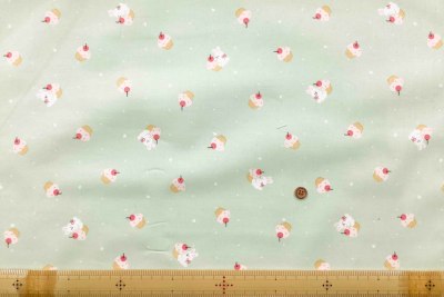 �J���[�o���G�[�V����