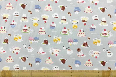 �J���[�o���G�[�V����