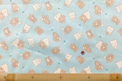 �J���[�o���G�[�V����