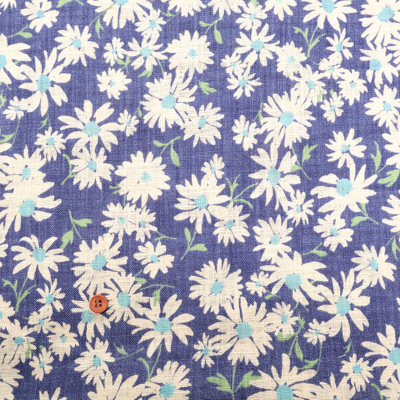 �J���[�o���G�[�V����