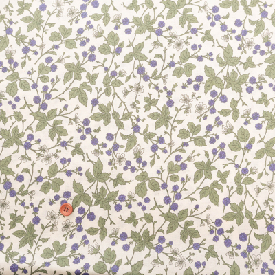 �J���[�o���G�[�V����