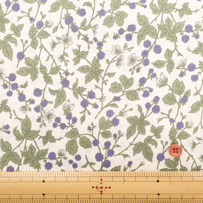 �J���[�o���G�[�V����