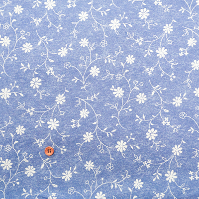 �J���[�o���G�[�V����