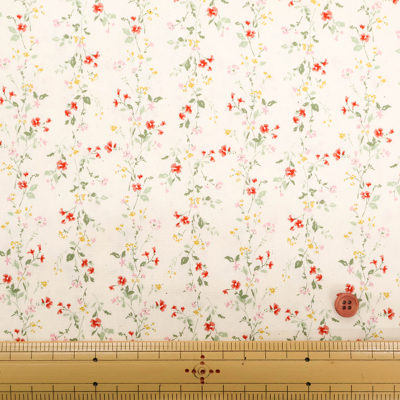 �J���[�o���G�[�V����