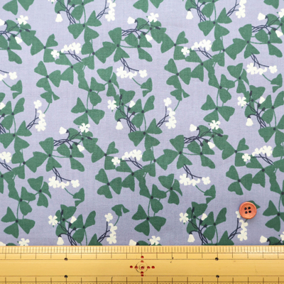 �J���[�o���G�[�V����