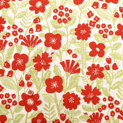 �J���[�o���G�[�V����