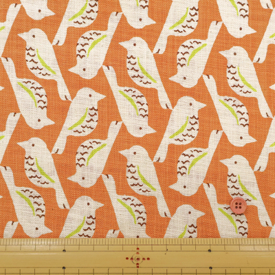 �J���[�o���G�[�V����