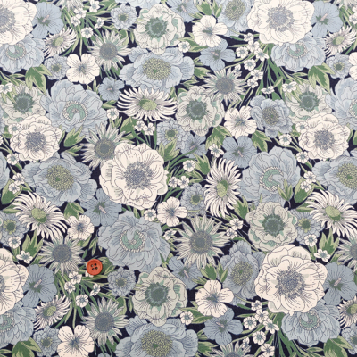 �J���[�o���G�[�V����