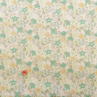 �J���[�o���G�[�V����