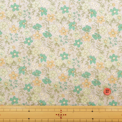 �J���[�o���G�[�V����