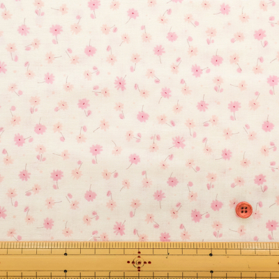 �J���[�o���G�[�V����