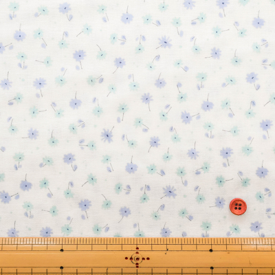 �J���[�o���G�[�V����