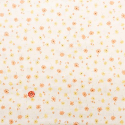 �J���[�o���G�[�V����