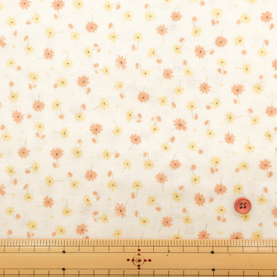 �J���[�o���G�[�V����