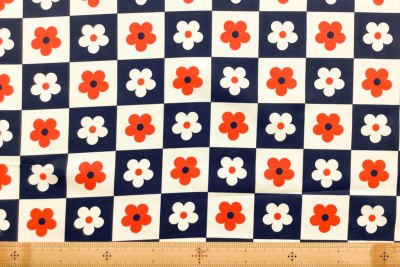 �J���[�o���G�[�V����