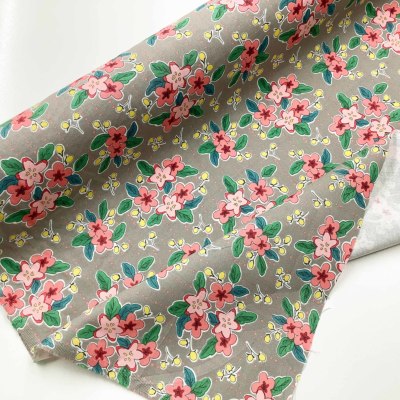 �J���[�o���G�[�V����