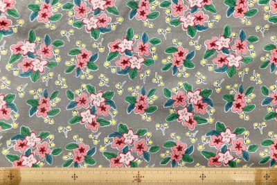 �J���[�o���G�[�V����