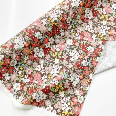 �J���[�o���G�[�V����