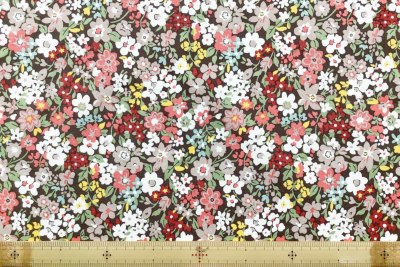 �J���[�o���G�[�V����