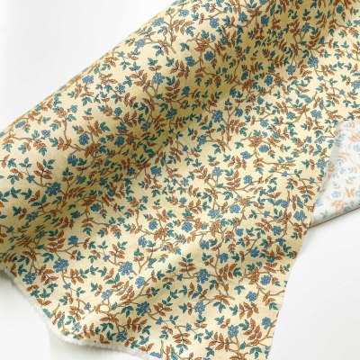 �J���[�o���G�[�V����