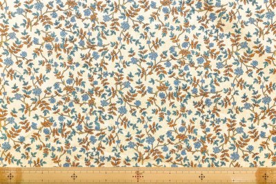 �J���[�o���G�[�V����