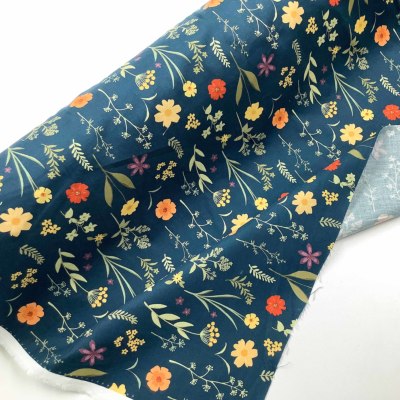 �J���[�o���G�[�V����