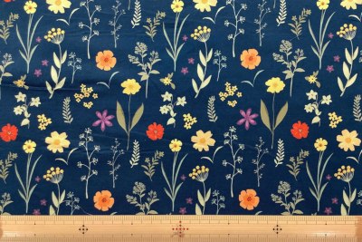 �J���[�o���G�[�V����