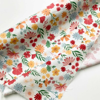 �J���[�o���G�[�V����