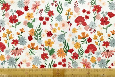 �J���[�o���G�[�V����