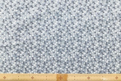 �J���[�o���G�[�V����