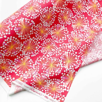 �J���[�o���G�[�V����