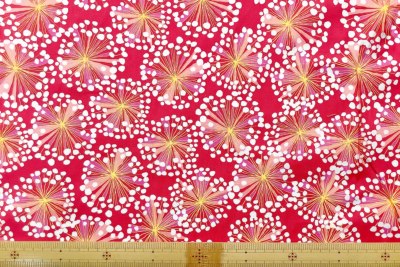 �J���[�o���G�[�V����