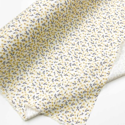 �J���[�o���G�[�V����