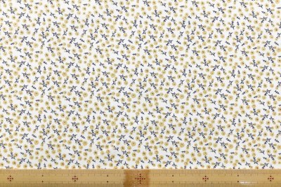 �J���[�o���G�[�V����