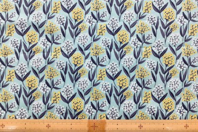 �J���[�o���G�[�V����