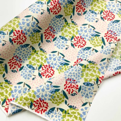 �J���[�o���G�[�V����