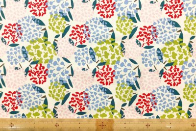 �J���[�o���G�[�V����