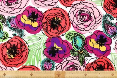 �J���[�o���G�[�V����