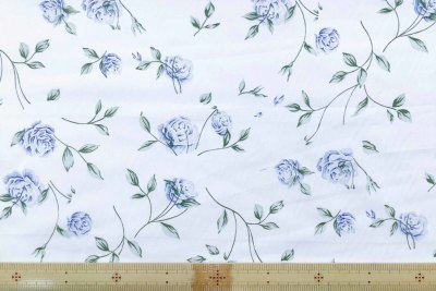 �J���[�o���G�[�V����