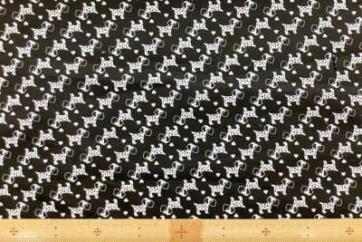 �J���[�o���G�[�V����