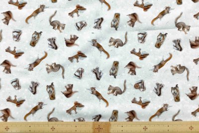 �J���[�o���G�[�V����