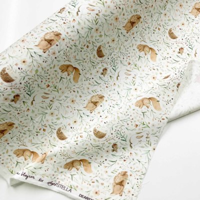 �J���[�o���G�[�V����