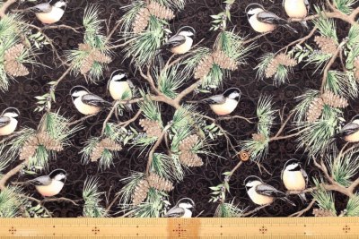 �J���[�o���G�[�V����