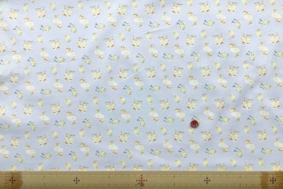 �J���[�o���G�[�V����