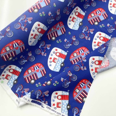 �J���[�o���G�[�V����