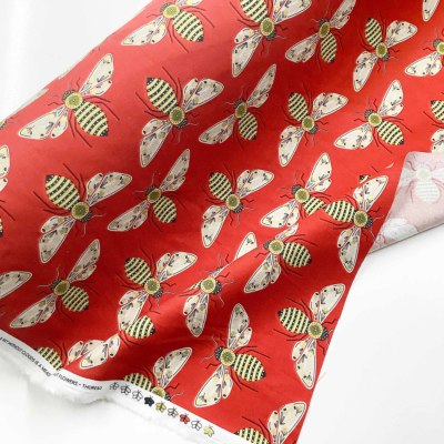 �J���[�o���G�[�V����