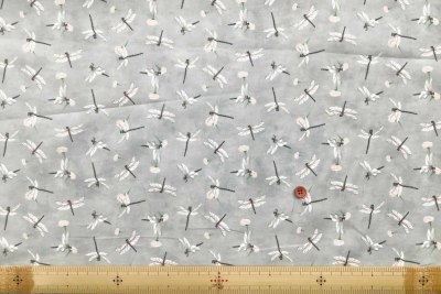 �J���[�o���G�[�V����