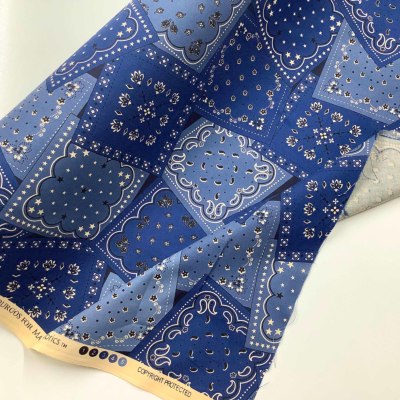 �J���[�o���G�[�V����